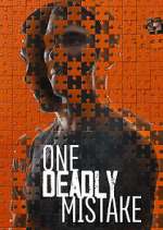 one deadly mistake tv poster
