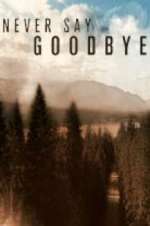 never say goodbye tv poster