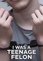 i was a teenage felon tv poster