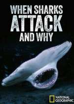when sharks attack... and why tv poster