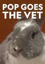 pop goes the vet tv poster
