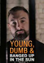 Watch Young Dumb & Banged Up in the Sun Projectfreetv