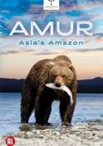 Watch Amur Asia's Amazon Projectfreetv
