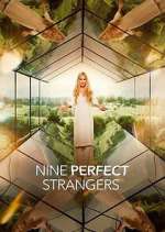 nine perfect strangers tv poster