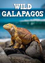 Watch Wild Galapagos Projectfreetv