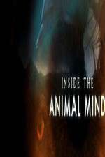 inside the animal mind tv poster