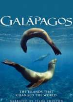 Watch Galapagos Projectfreetv