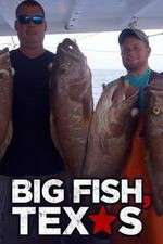 Watch Big Fish Texas Projectfreetv