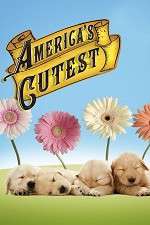 Watch America's Cutest Projectfreetv