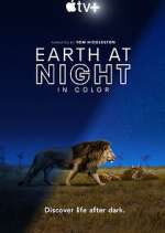 earth at night in color tv poster