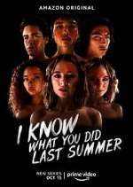 i know what you did last summer tv poster