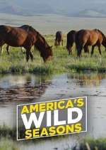 Watch America's Wild Seasons Projectfreetv