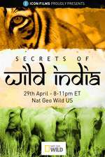 Watch Secrets of Wild India Projectfreetv