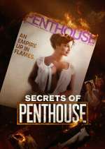 secrets of penthouse tv poster