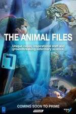 Watch The Animal Files Projectfreetv