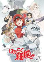 cells at work! tv poster