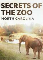Watch Secrets of the Zoo: North Carolina Projectfreetv