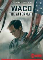 waco: the aftermath tv poster