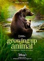growing up animal tv poster