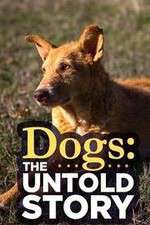 Watch Dogs: The Untold Story Projectfreetv