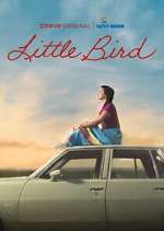 little bird tv poster