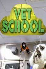 vet school tv poster