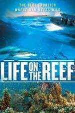 Watch Life on the Reef Projectfreetv