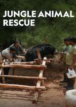 Watch Jungle Animal Rescue Projectfreetv