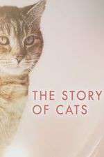 Watch The Story of Cats Projectfreetv