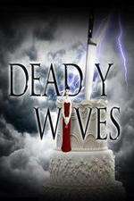 deadly wives tv poster