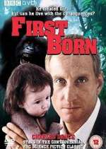 first born tv poster