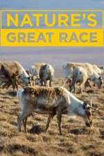 nature's great race tv poster