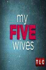 Watch My Five Wives Projectfreetv