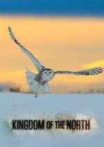 kingdom of the north tv poster