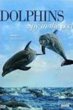 dolphins: spy in the pod tv poster
