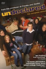 undeclared tv poster