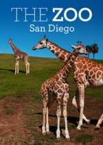 Watch The Zoo: San Diego Projectfreetv
