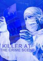 killer at the crime scene tv poster