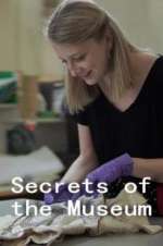 Watch Secrets of the Museum Projectfreetv