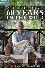 Watch Attenborough 60 Years in the Wild Projectfreetv