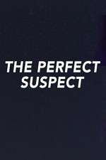 Watch The Perfect Suspect Projectfreetv