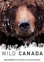 Watch Wild Canada Projectfreetv
