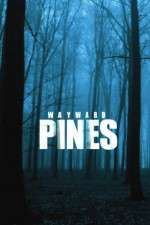 wayward pines tv poster