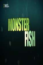 national geographic monster fish tv poster