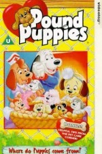 pound puppies tv poster
