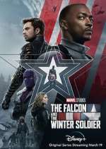 the falcon and the winter soldier tv poster