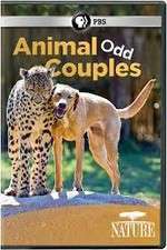 Watch Animal Odd Couples Projectfreetv