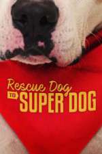 Watch Rescue Dog to Super Dog (US) Projectfreetv