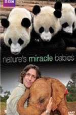 natures miracle babies tv poster