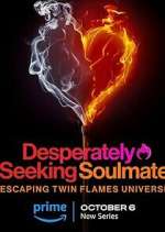 desperately seeking soulmate: escaping twin flames universe tv poster